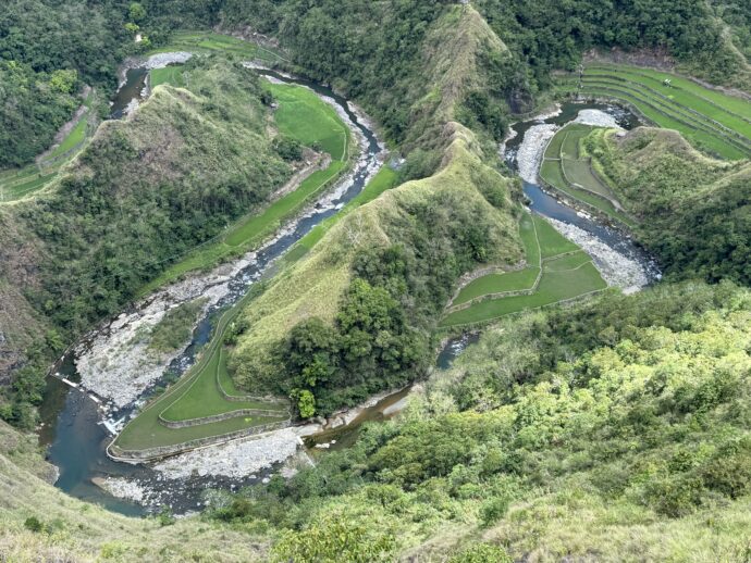 ドゥクリガン・ライステラス