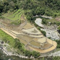 ドゥクリガン・ライステラス