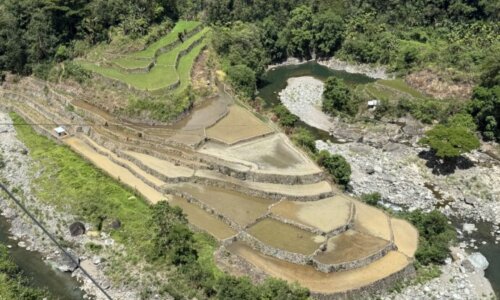 ドゥクリガン・ライステラス