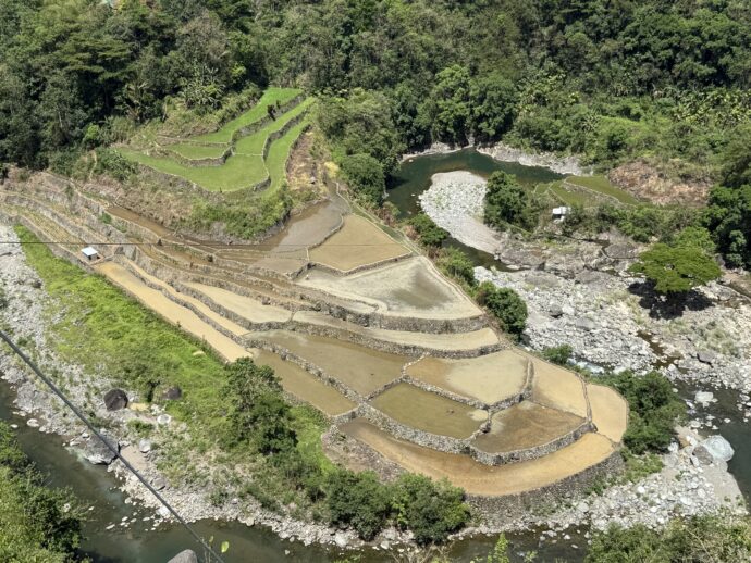 ドゥクリガン・ライステラス