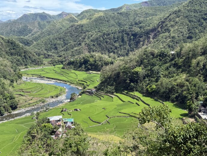 ドゥクリガン・ライステラス