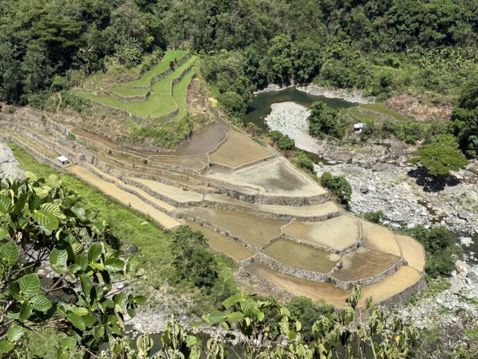 ドゥクリガン・ライステラス