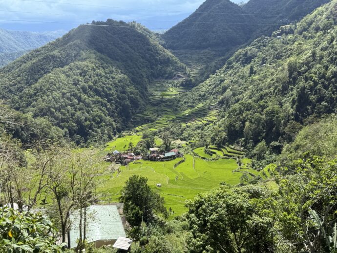 バンガアン・ライステラス