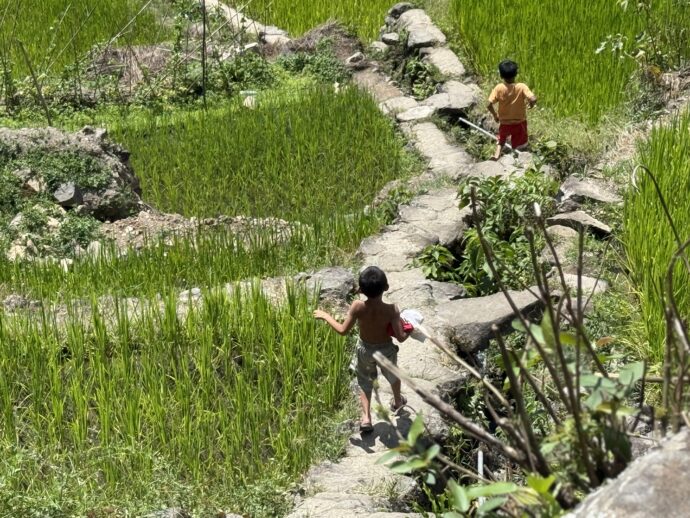 ライステラスの中の道を歩く子供