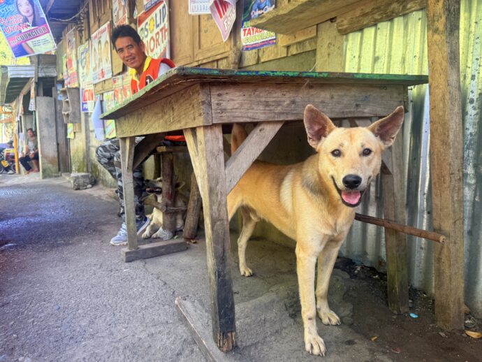 犬とご主人