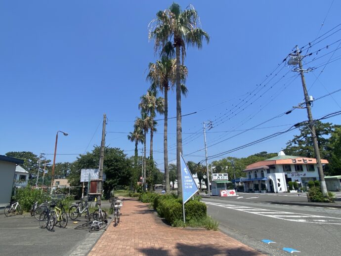 三保松原の道路