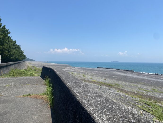 三保松原の海岸