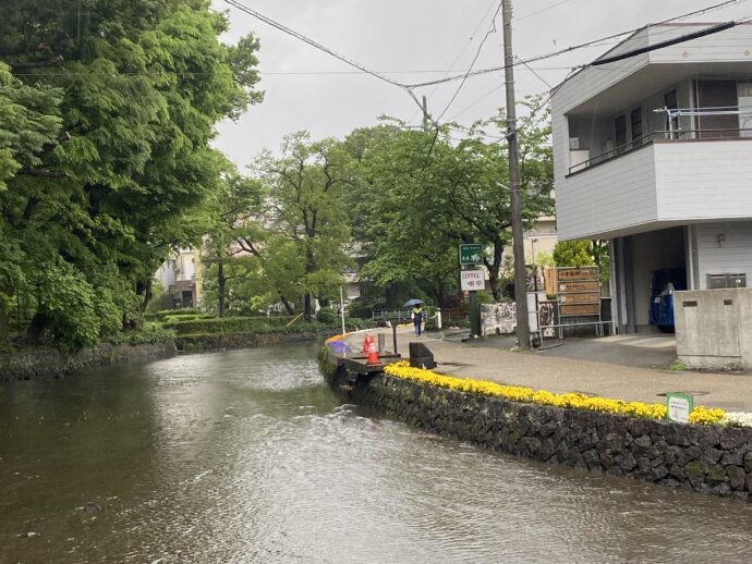 桜川川縁