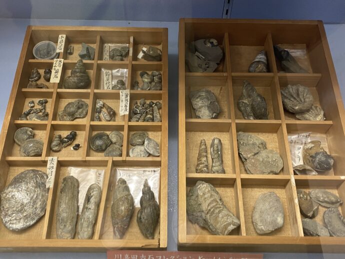 川喜田家に伝わる奇石コレクション