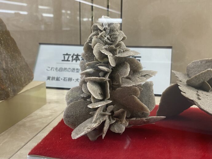 砂漠の花　透石膏の奇形結晶