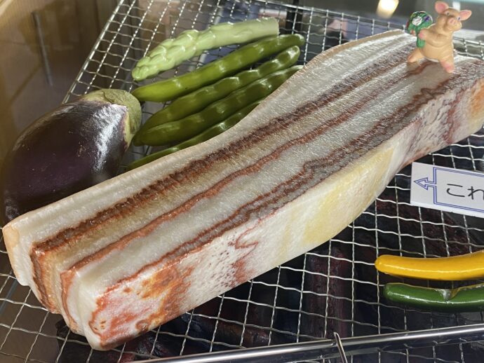 猪肉石（豚肉石）