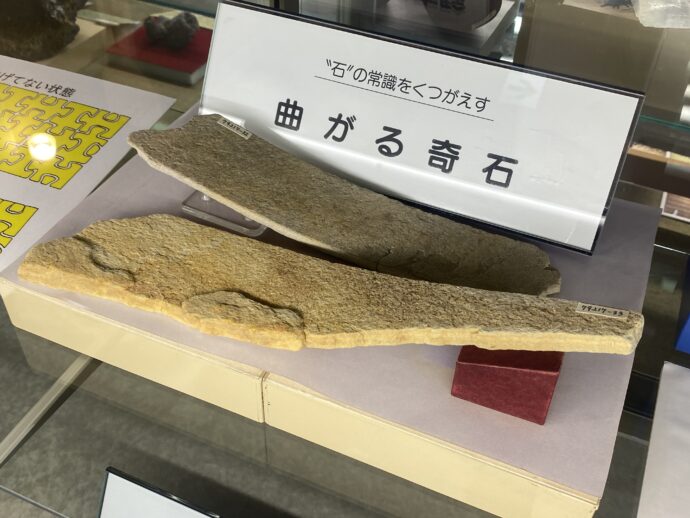 コンニャク石