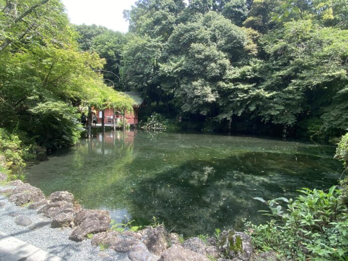 湧玉池