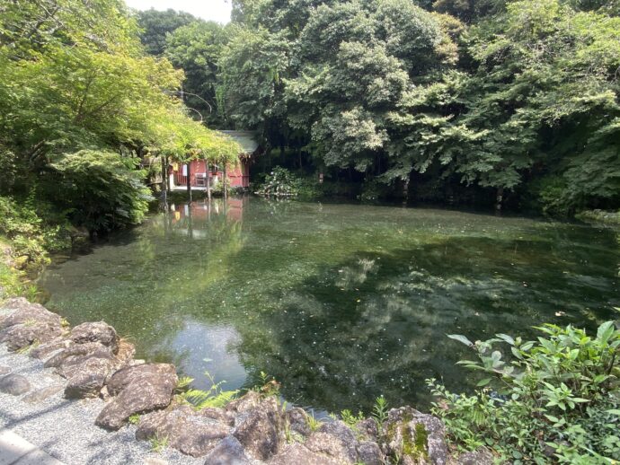 湧玉池