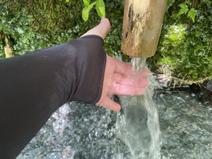 水流をチェック