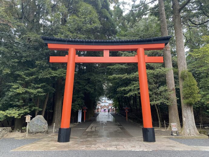 赤い鳥居の参道