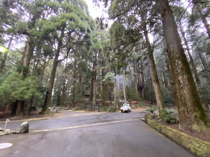 山林