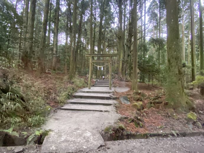 木立の中の参道