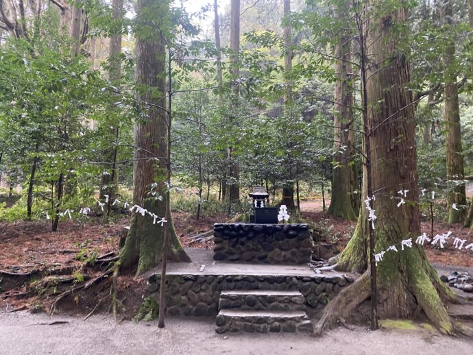 木立の中の参道