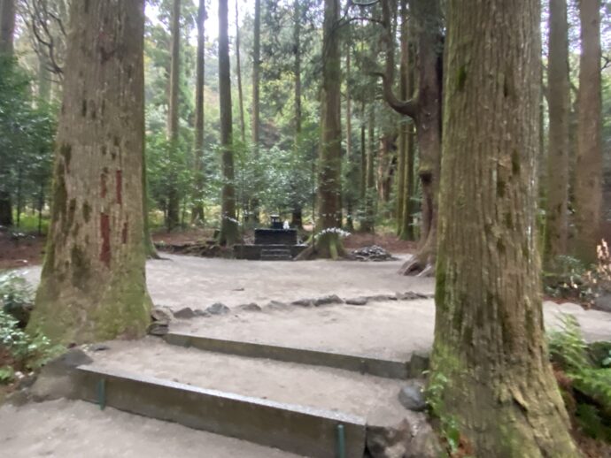 山神社の道