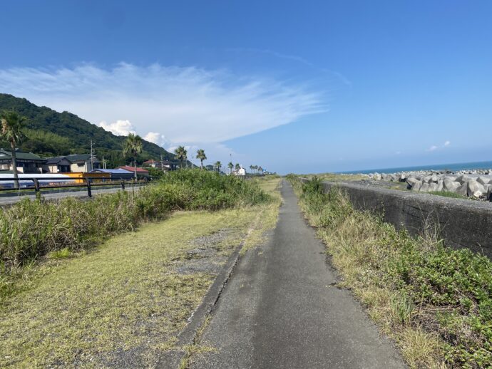 荒れ気味の太平洋岸自転車道