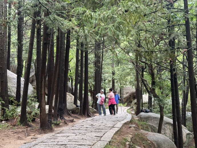 ラオシャン登山コース