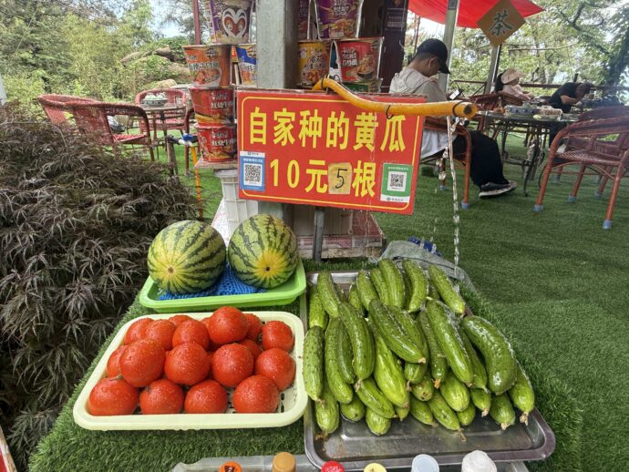 トマトときゅうり