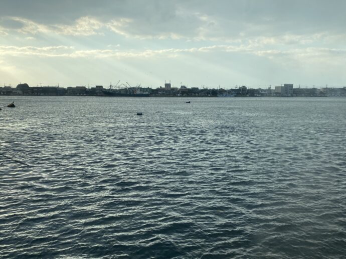 海