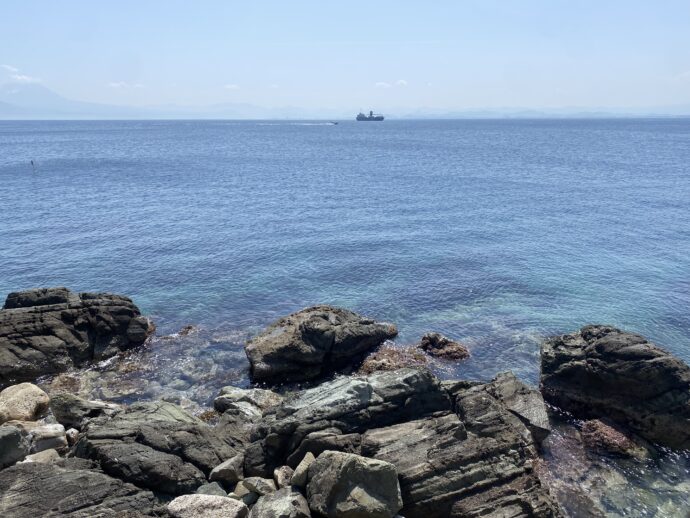 海