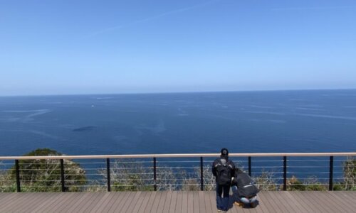 海を見つめるバイクの人
