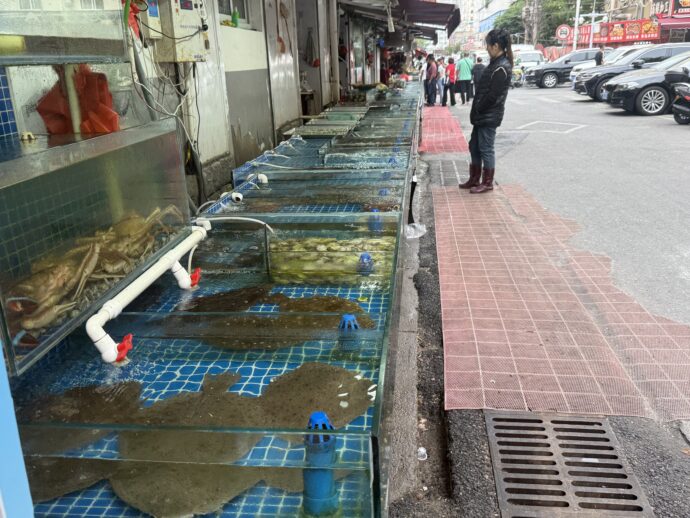海鮮店がならぶエリア