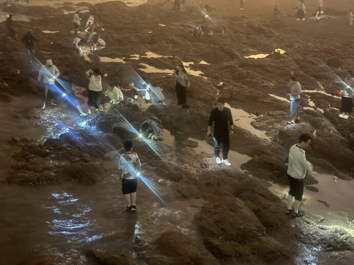 夜の海岸で遊ぶ人々