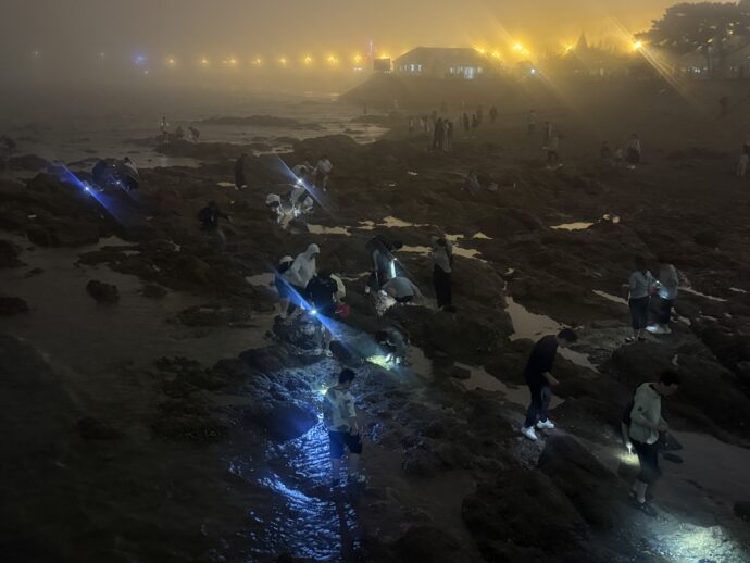 夜の海岸で遊ぶ人々