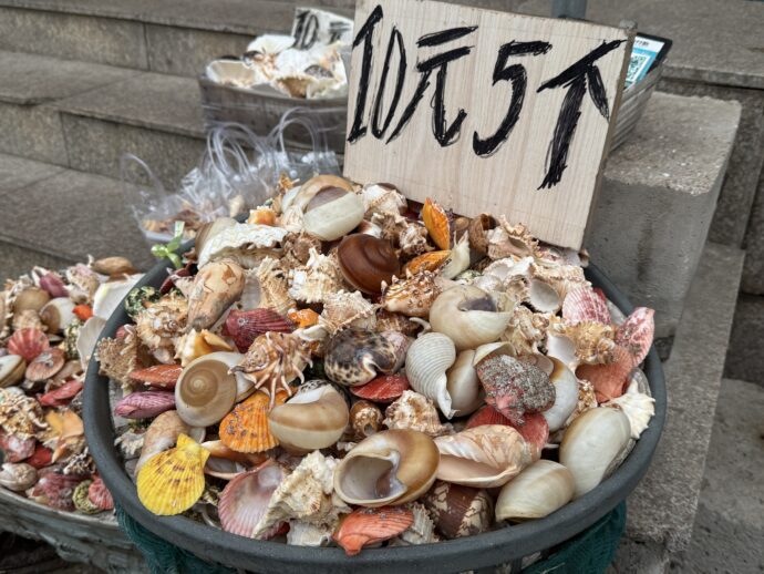 貝殻販売中