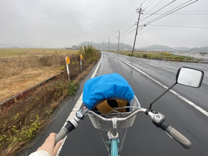 鰐淵寺への道を走る自転車