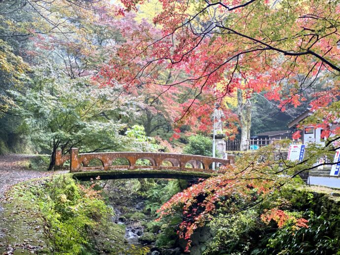 橋と紅葉