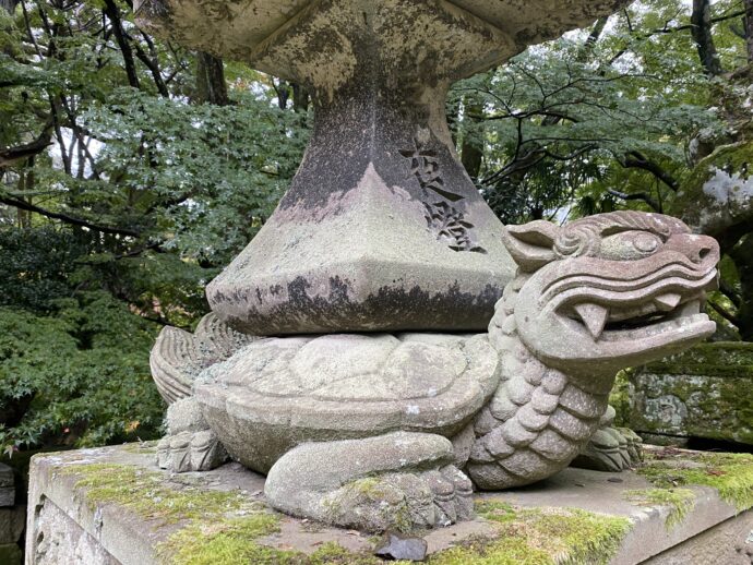 ワニ