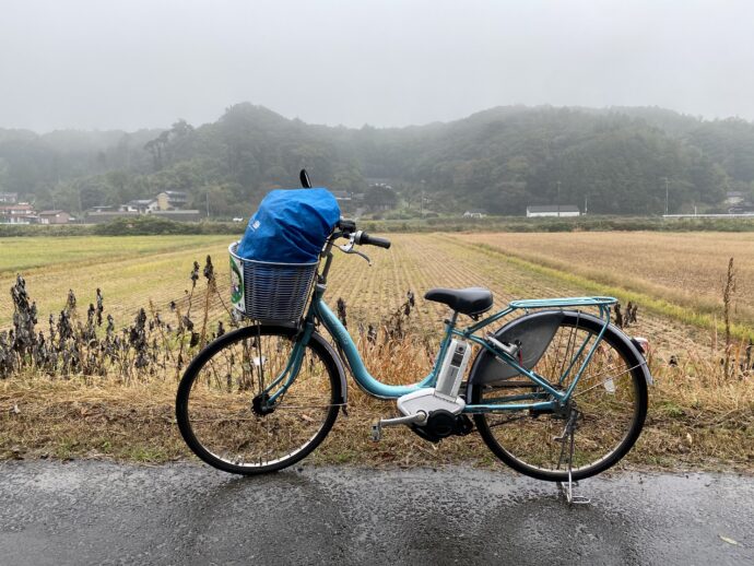 自転車と田んぼ