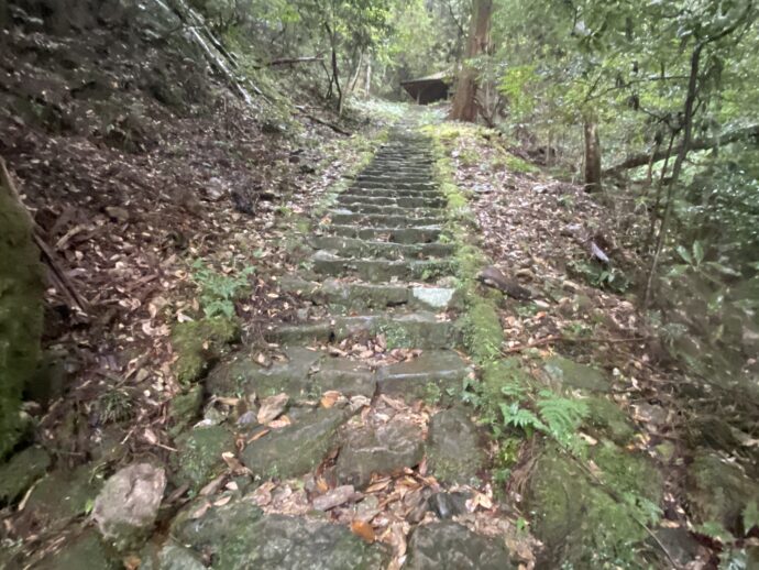 山道の階段