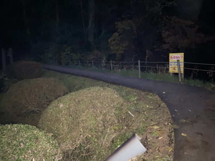 暗い道