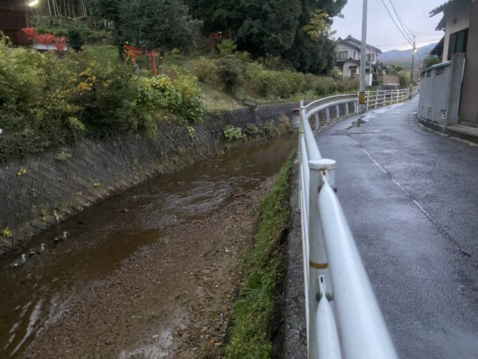 水路沿いの道