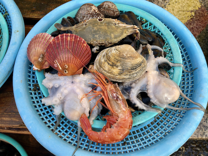 魚の盛り合わせ