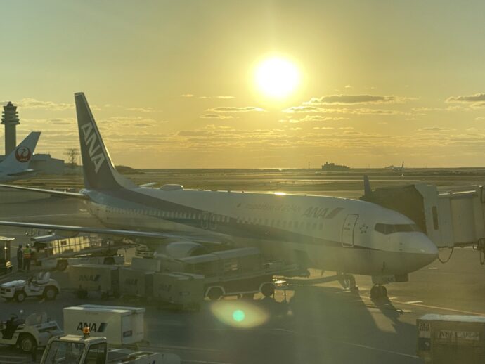 那覇空港に到着したピーチ