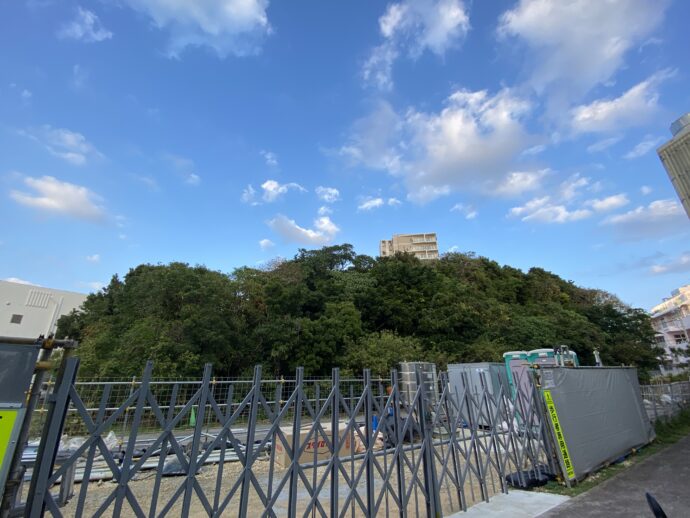 ガーナ森御嶽神 