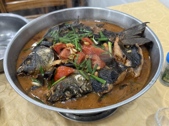 啤酒魚