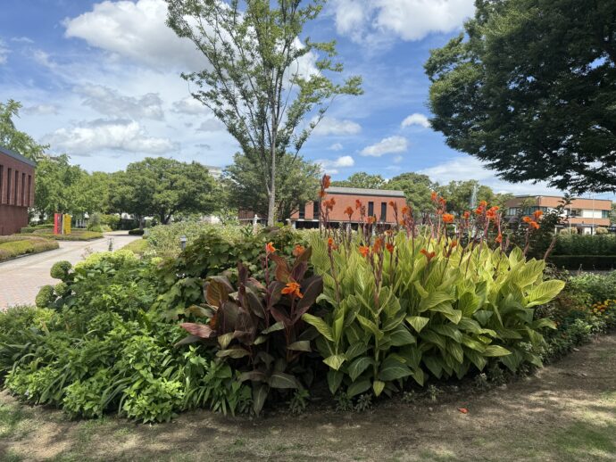 久留米市美術館の公園