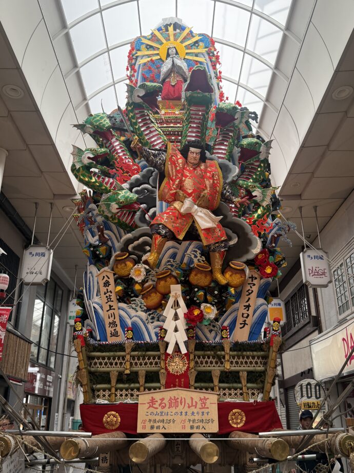 ヤマタノオロチの山がさ