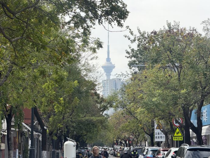 植木の奥の建物