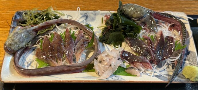 有明海の魚介類の刺身盛