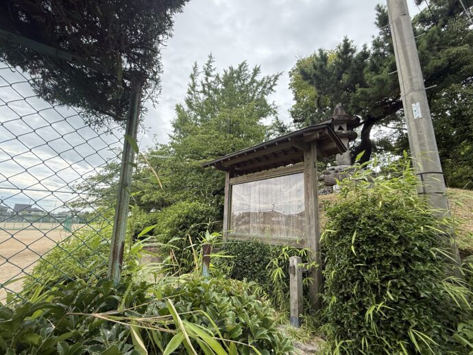 柳川城跡への藪道